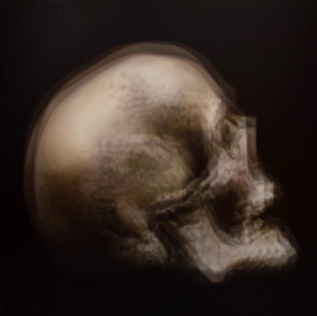 Alejandro Rosemberg / Samsara Series - Memento Mori