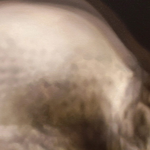 Alejandro Rosemberg / Samsara Series - Memento Mori (detail III)